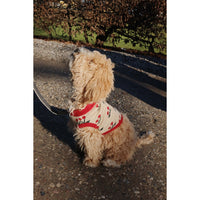 konges-slojd-cherry-knit-dog-vest-cherry-one-size-kong-w23ks6358-cherry-os