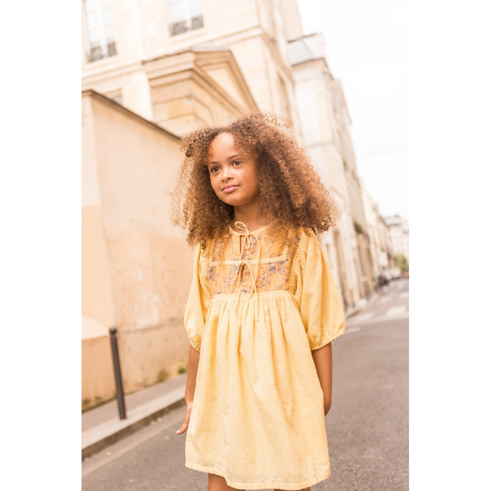 louis-louise-dress-paula-plumetis-light-yellow-loui-s251038-plum-03y