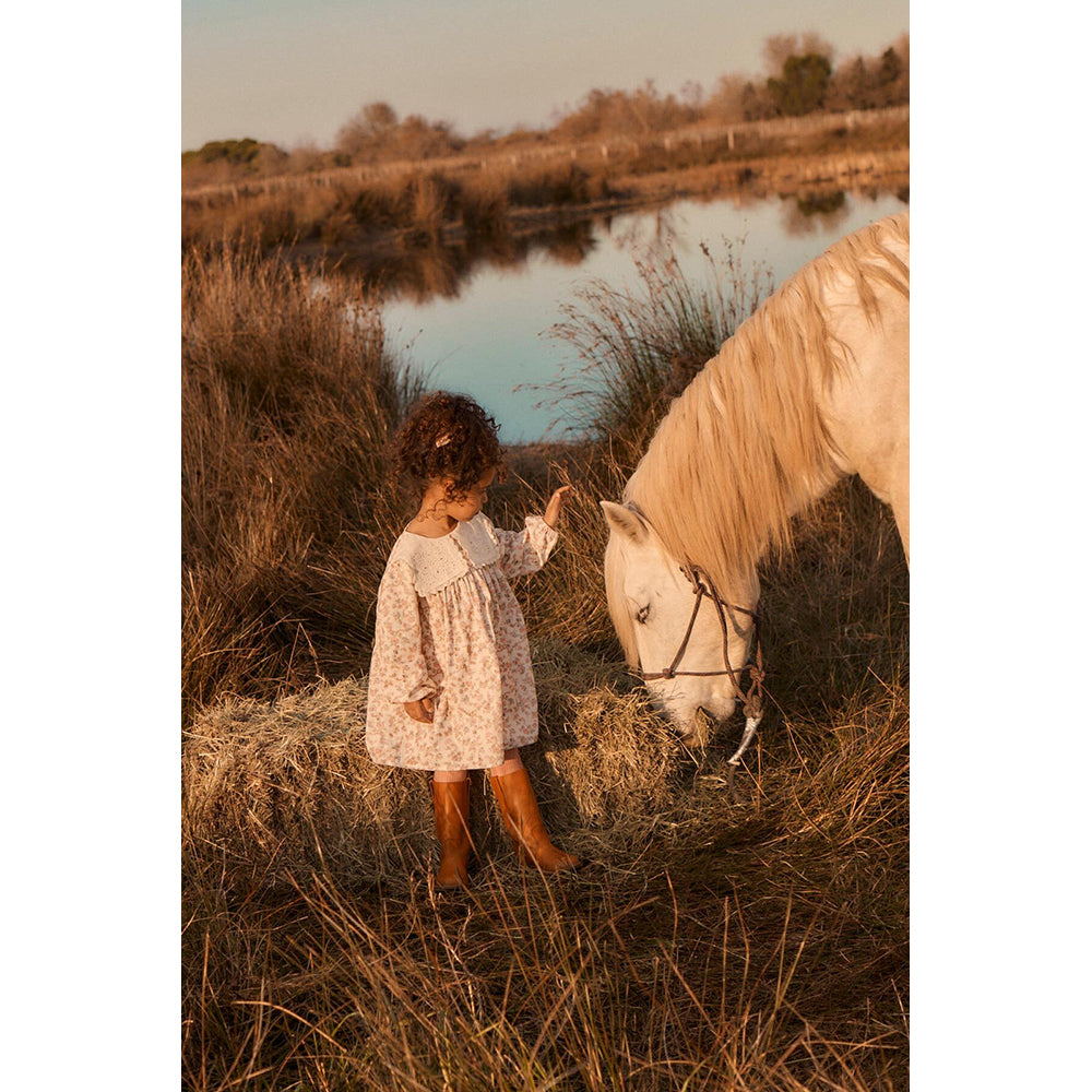 louise-misha-dress-arinola-printed-corduroy-cream-carnation-vale-clothing-wear-fashion-mish-w26s0178-ccv-04y