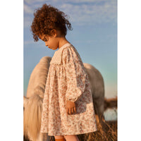 louise-misha-dress-arinola-printed-corduroy-cream-carnation-vale-clothing-wear-fashion-mish-w26s0178-ccv-04y