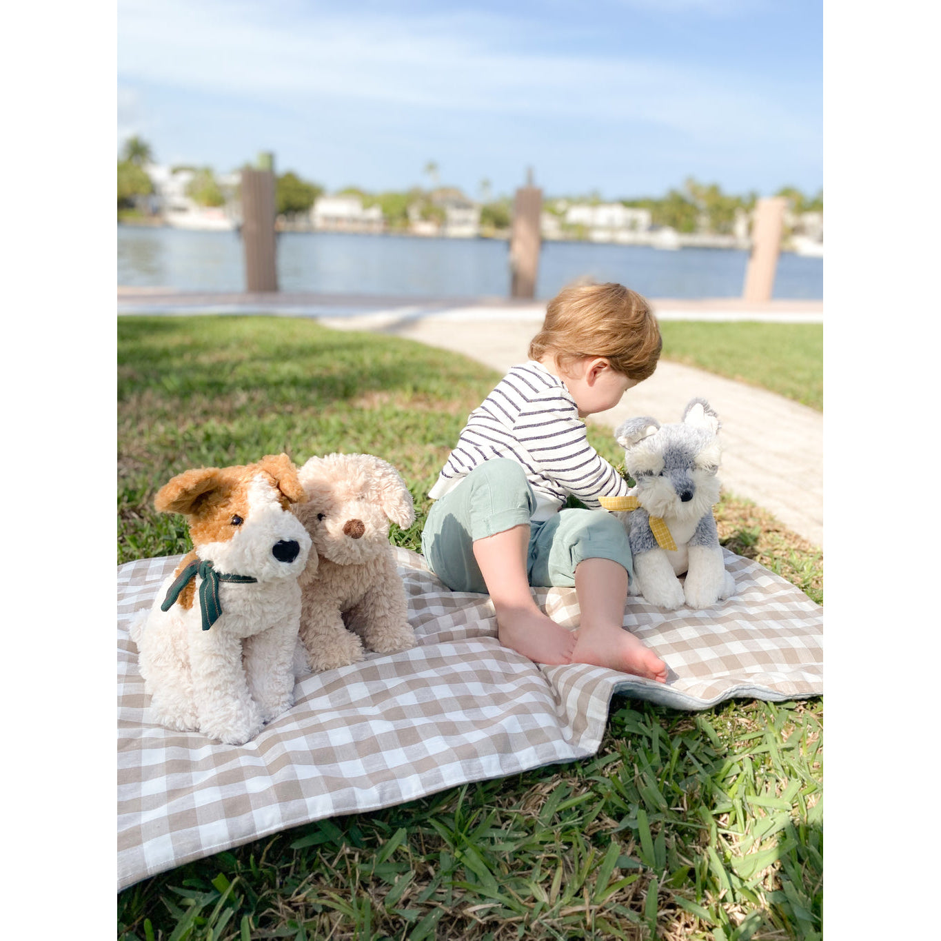 mon-ami-winston-the-schnauzer-mona-st1005