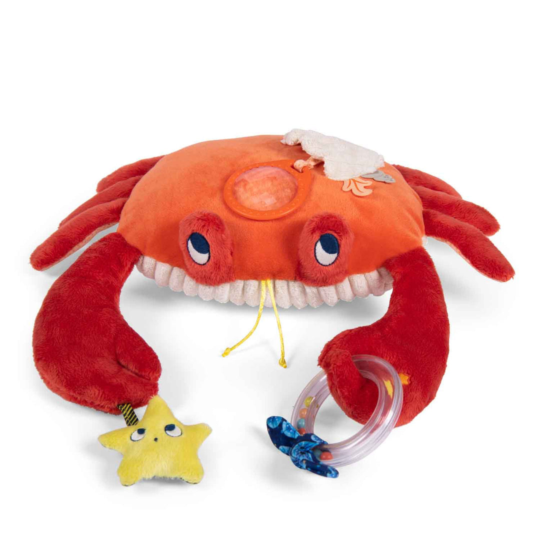 moulin-roty-les-adventures-de-paulie-large-activity-crab-l-34cm-moul-676077