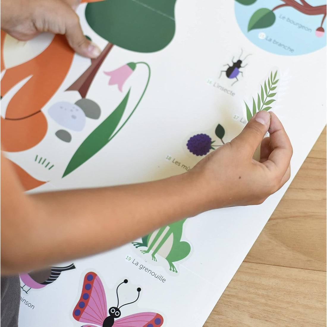 poppik-educational-poster-40-stickers-in-the-forest-popk-dis010