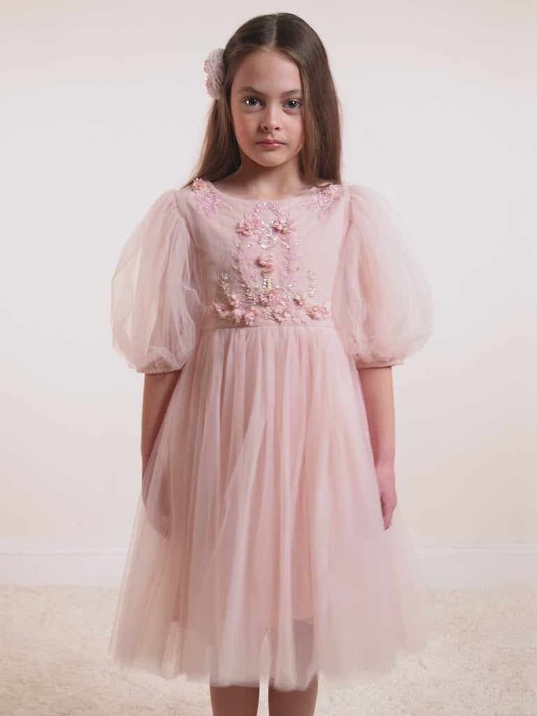 tutu-du-monde-charmed-tulle-dress-hazel-pink-tutu-tdm8053-hp-y02