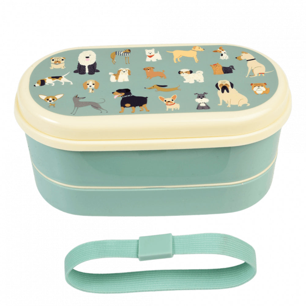 rex-childrens-bento-box-best-in-show-rex-29483