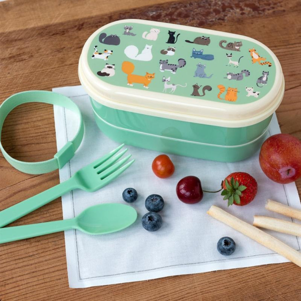 rex-childrens-bento-box-nine-lives-rex-29481