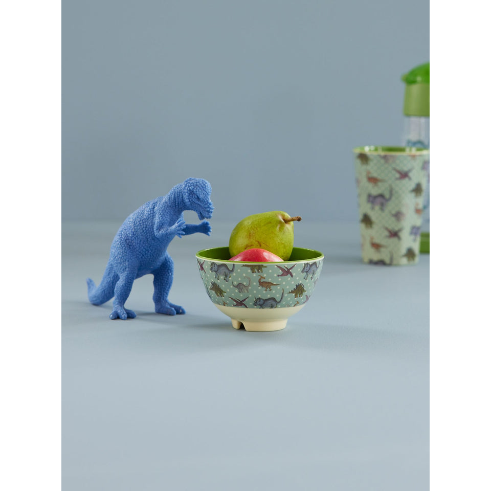 rice-dk-melamine-bowl-with-new-dino-print-small-300ml-rice-melbw-sndino