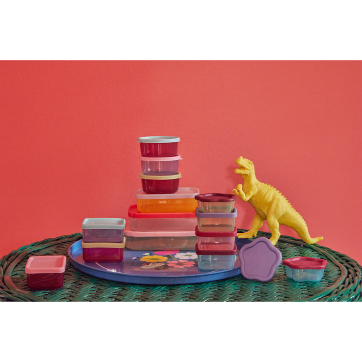 rice-dk-plastic-small-food-keepers-12-pcs-in-a-net-rice-fbox-12zaw23