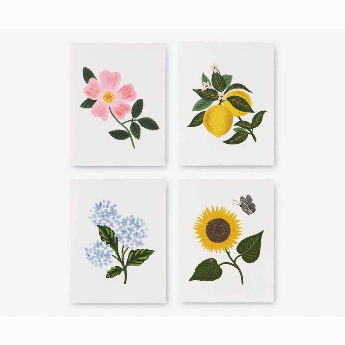 rifle-paper-co-botanical-blossom-assorted-card-set-stationery-rifl-gca038-b-02