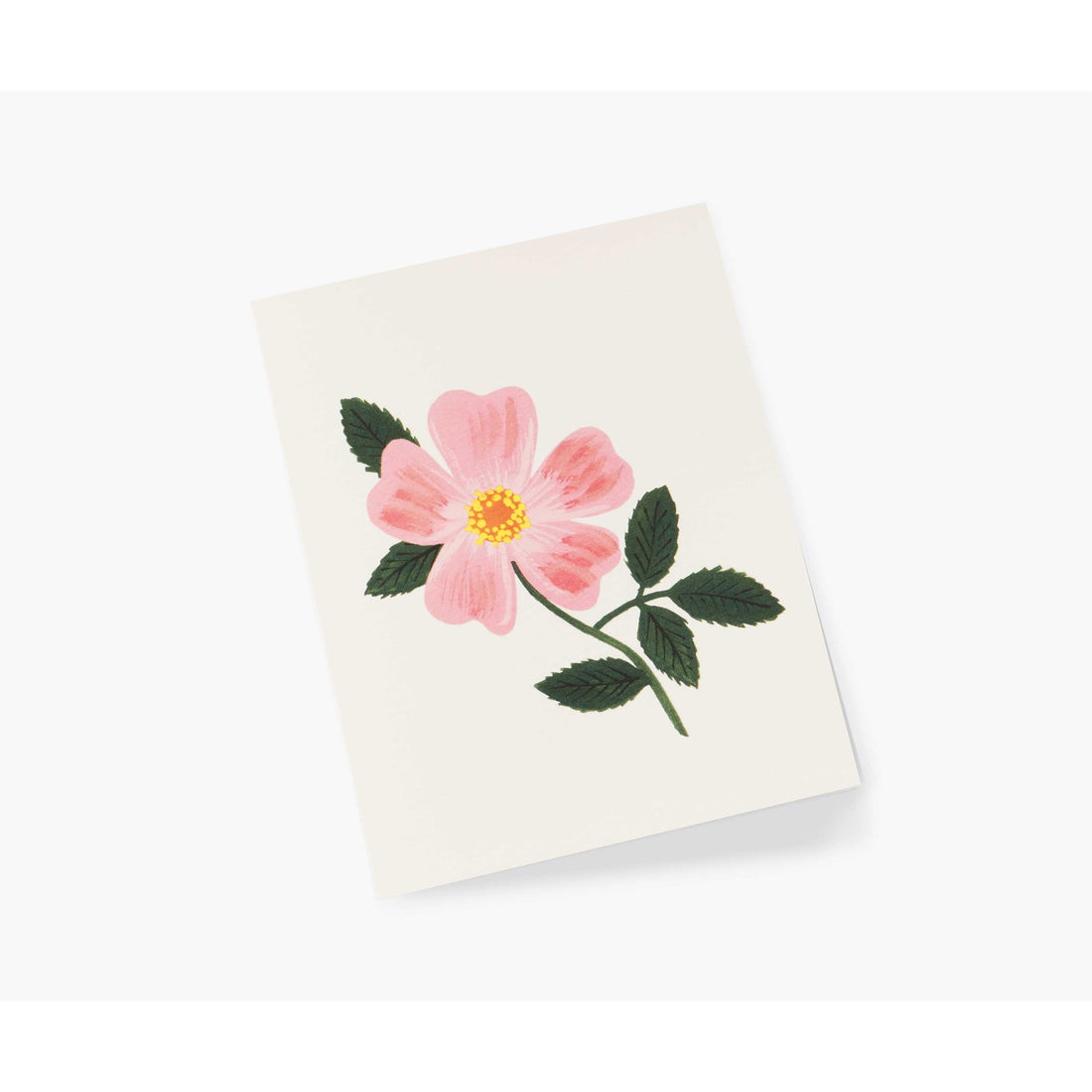 rifle-paper-co-wild-prairie-rose-card-rifl-gcm188