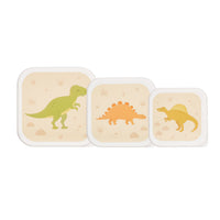 rjb-stone-desert-dino-lunch-boxes-set-of-3-rjbs-maxi061
