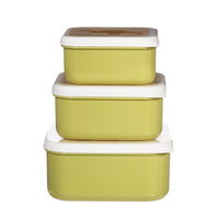 rjb-stone-desert-dino-lunch-boxes-set-of-3-rjbs-maxi061