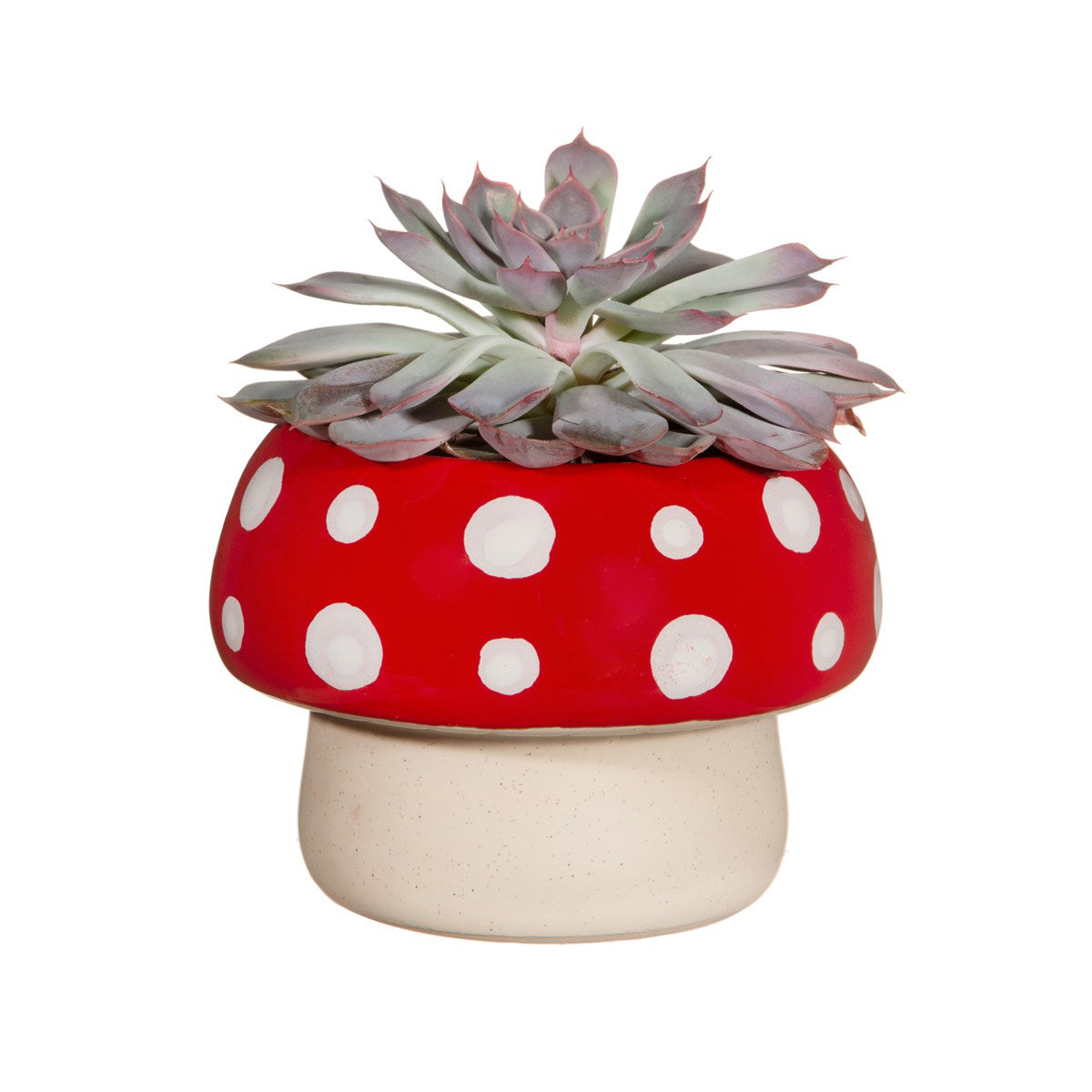 rjb-stone-red-mushroom-planter-rjbs-czq276