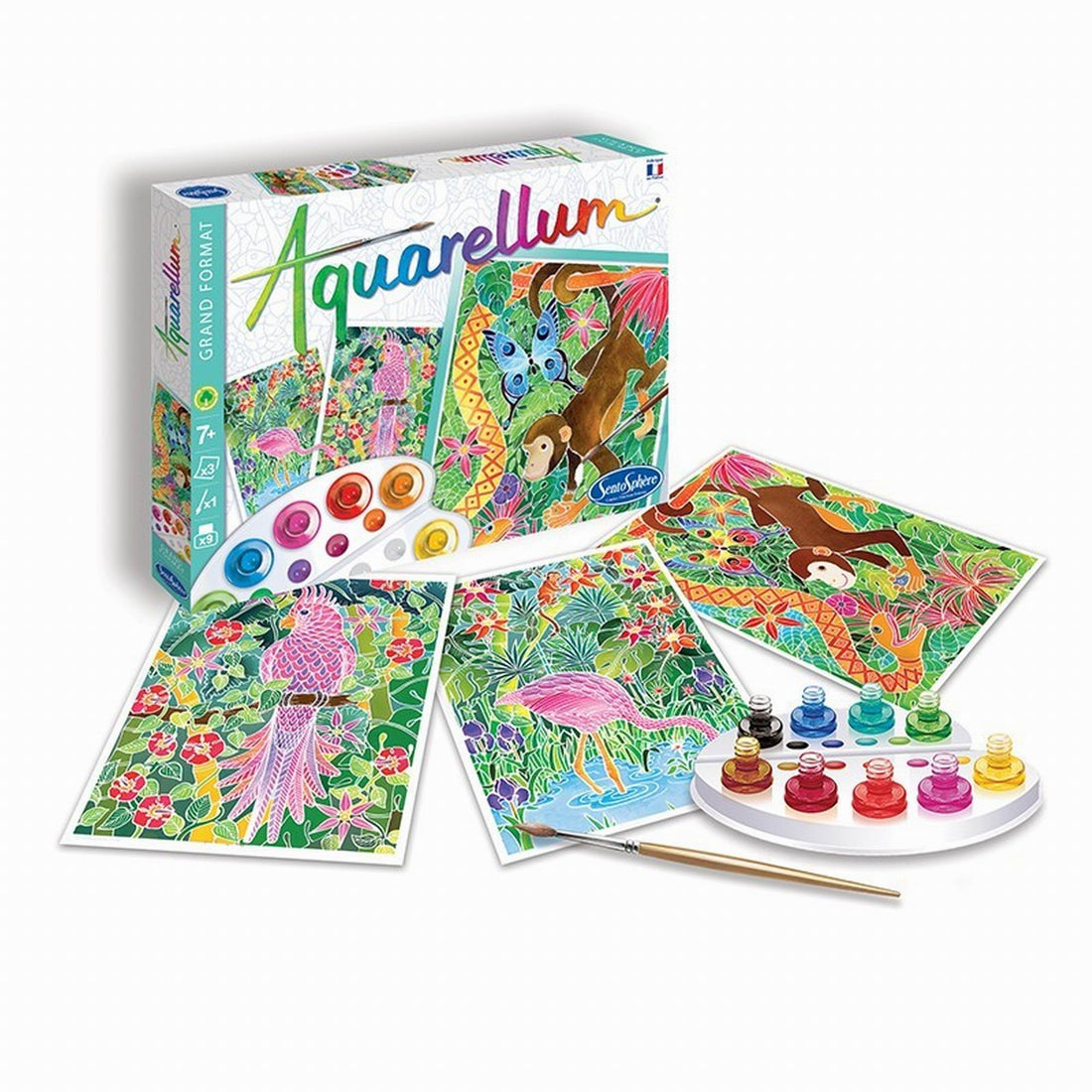 sentosph-re-aquarellum-amazone-2024-play-toy-sent-6150-01