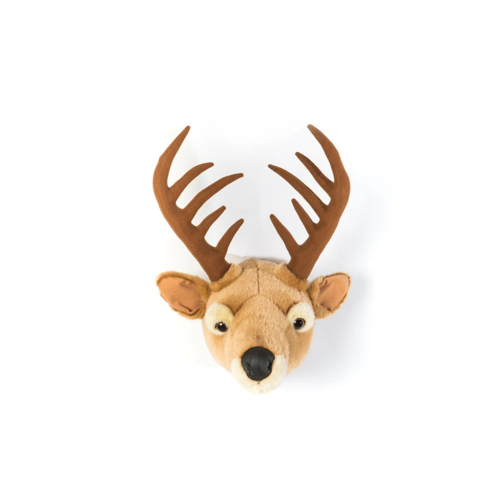 wild-&-soft-head-deer-billy-wild-ws0027