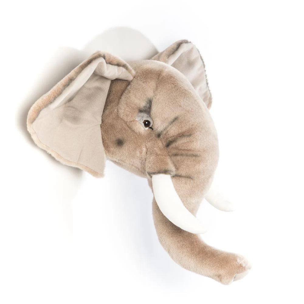 wild-&-soft-head-elephant-george-wild-ws0033