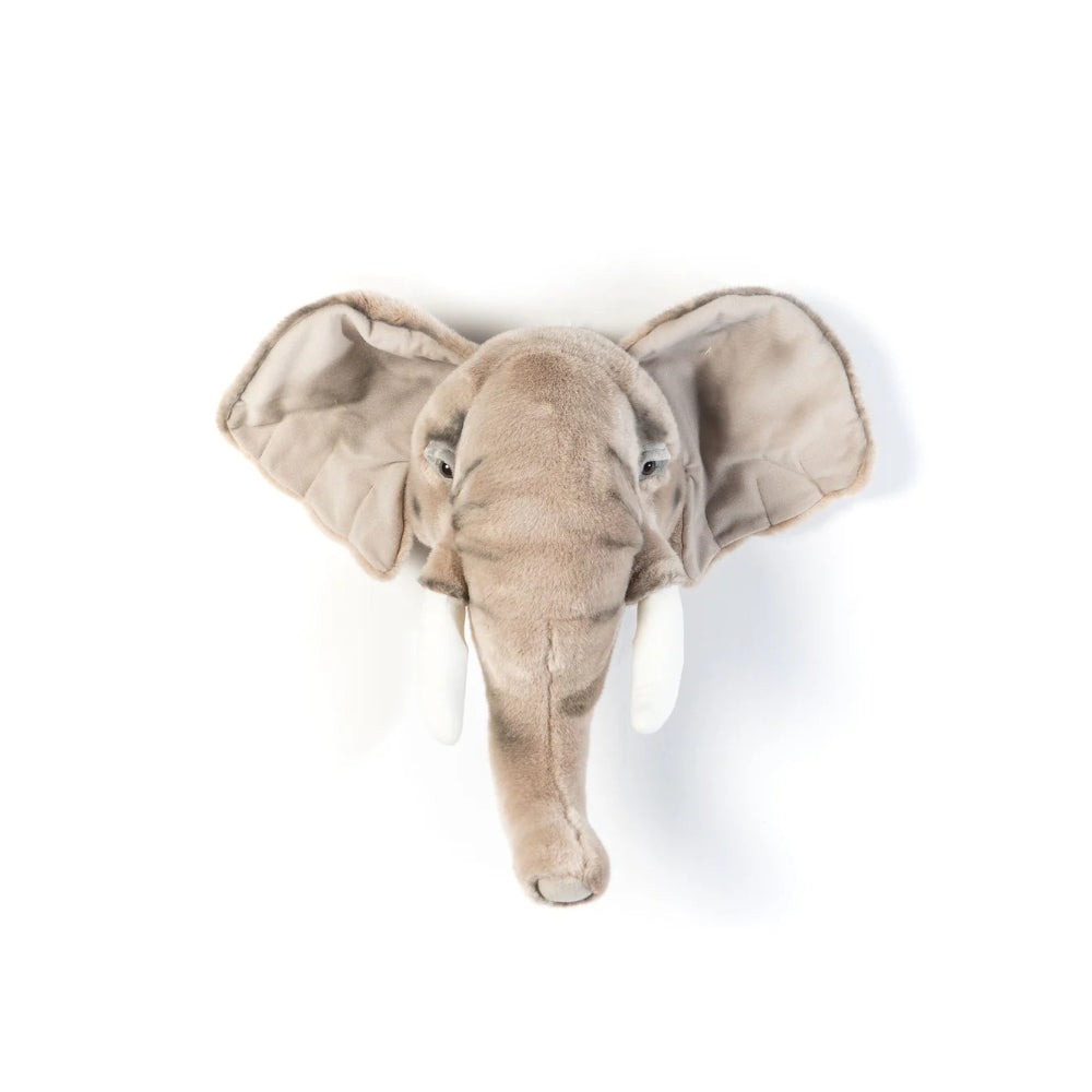 wild-&-soft-head-elephant-george-wild-ws0033
