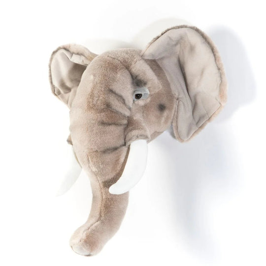 wild-&-soft-head-elephant-george-wild-ws0033