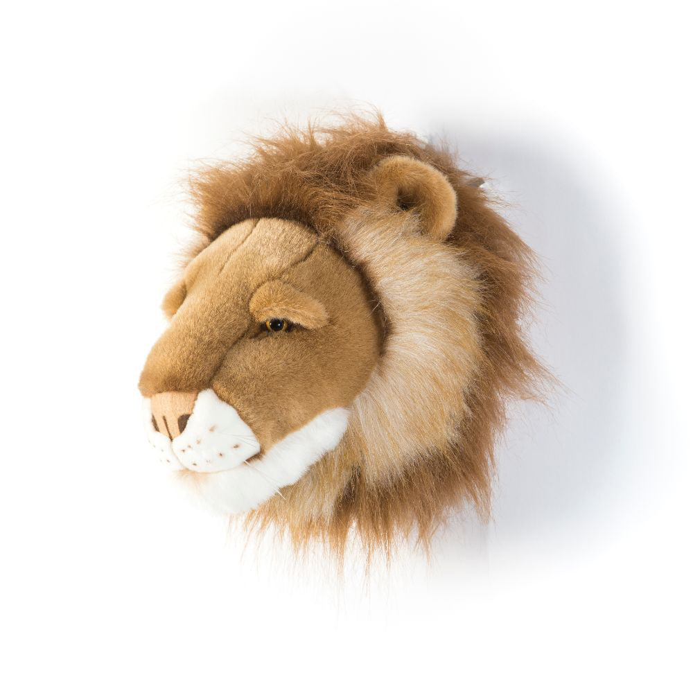 wild-&-soft-head-lion-cesar-wild-ws0024