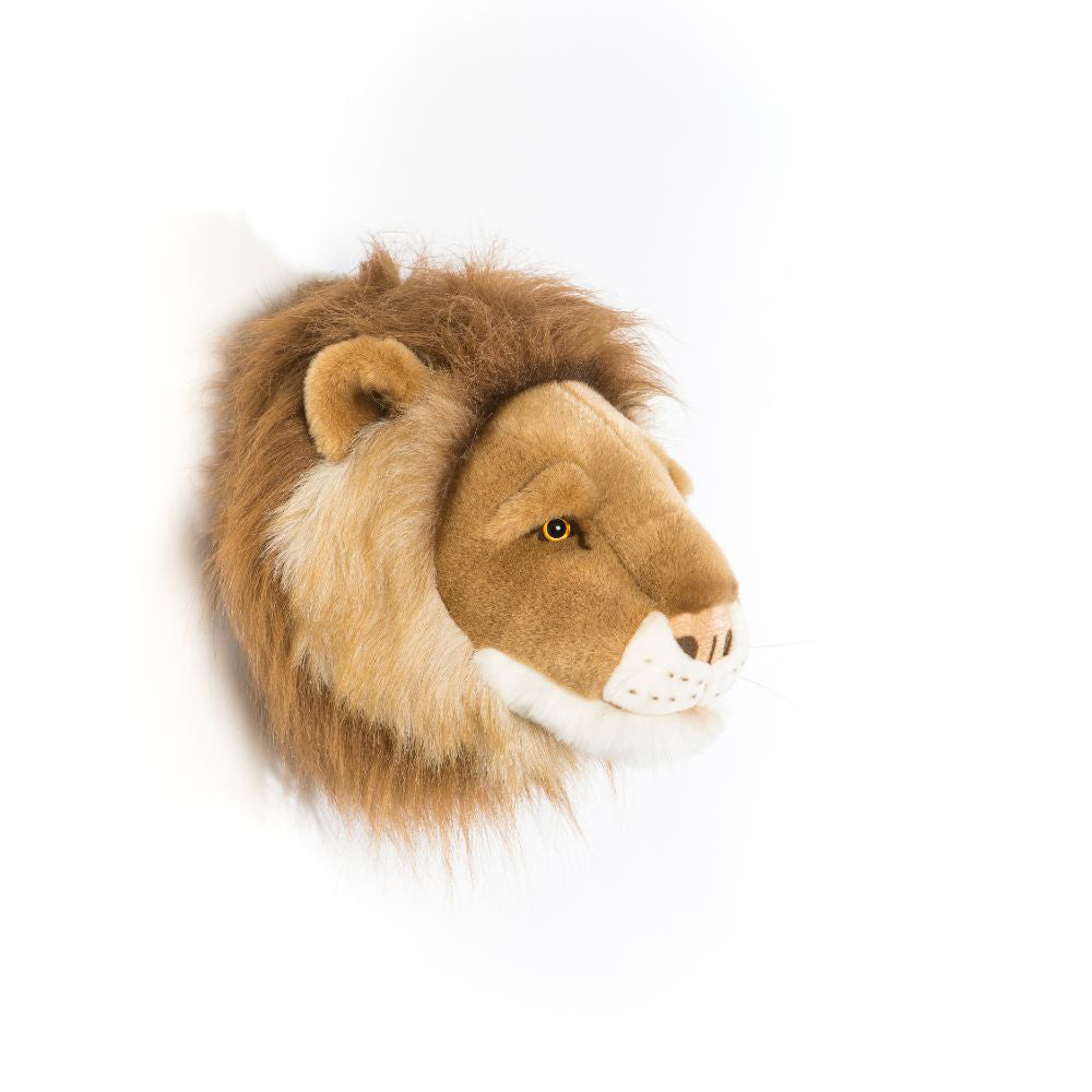 wild-&-soft-head-lion-cesar-wild-ws0024