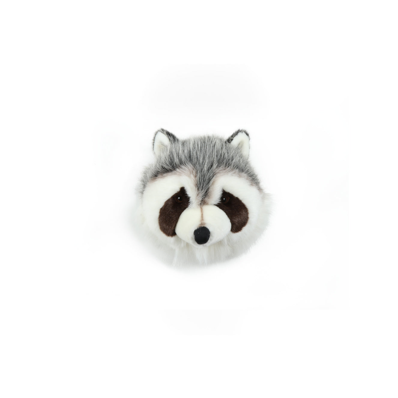 wild-&-soft-medium-head-raccoon-josh-wild-ws0603