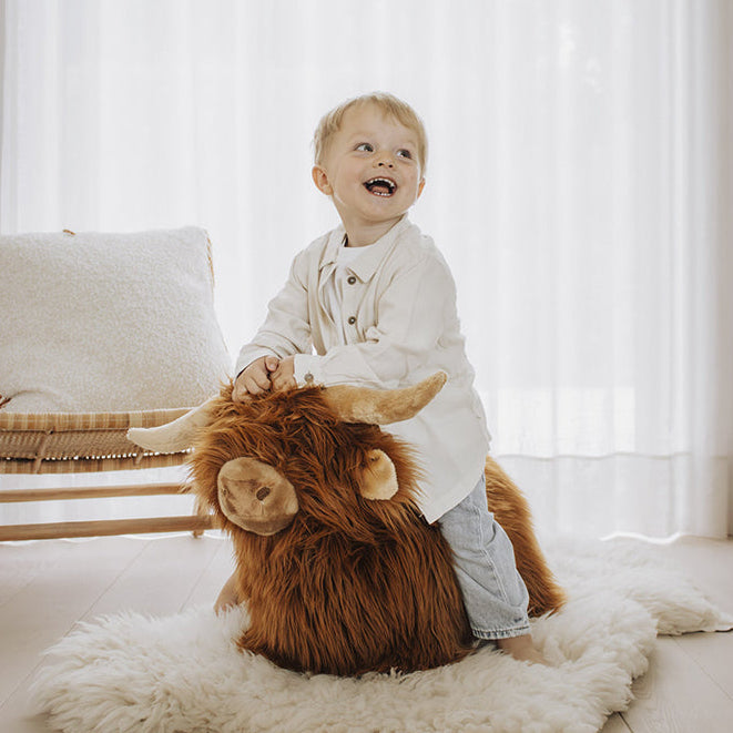 wild-soft-soft-bouncy-highland-cow