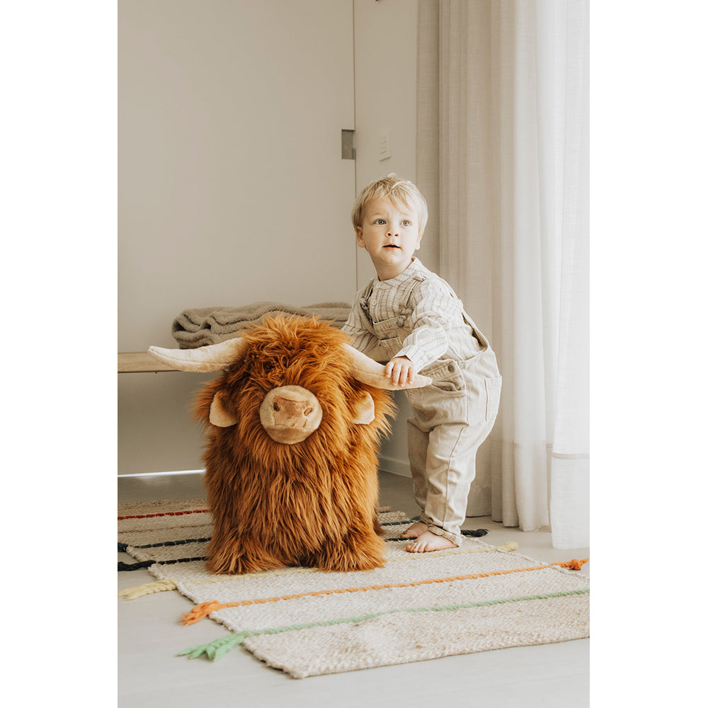 wild-soft-soft-bouncy-highland-cow