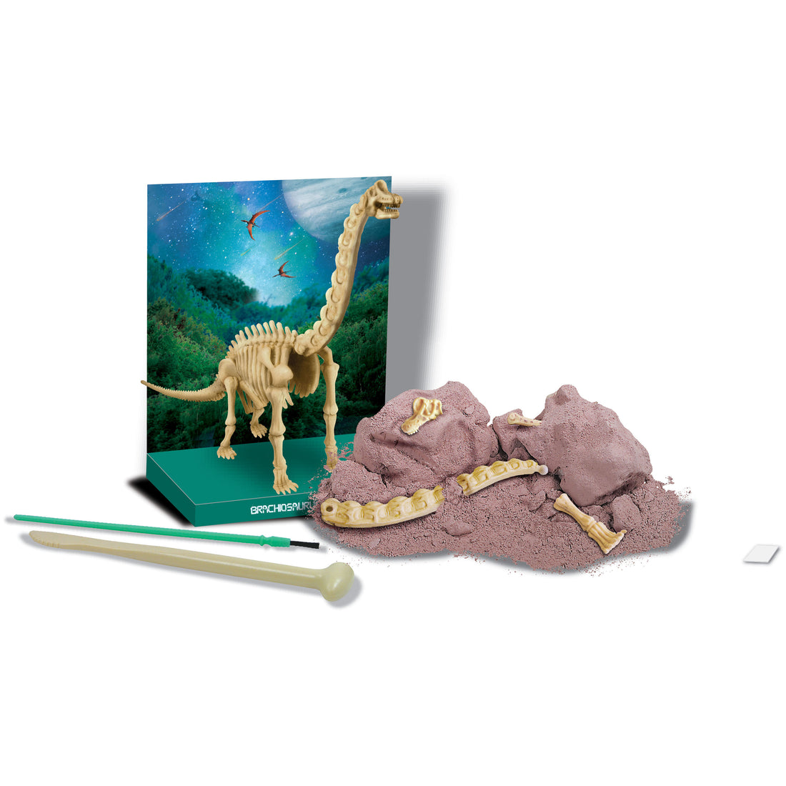 4m-kidz-labs-brachiosaurus-skeleton-excav-kit- (2)
