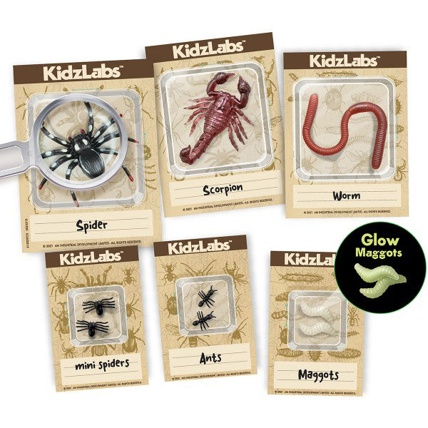 4m-kidz-labs-creepy-crawly-digging-kit-4m-3397- (2)