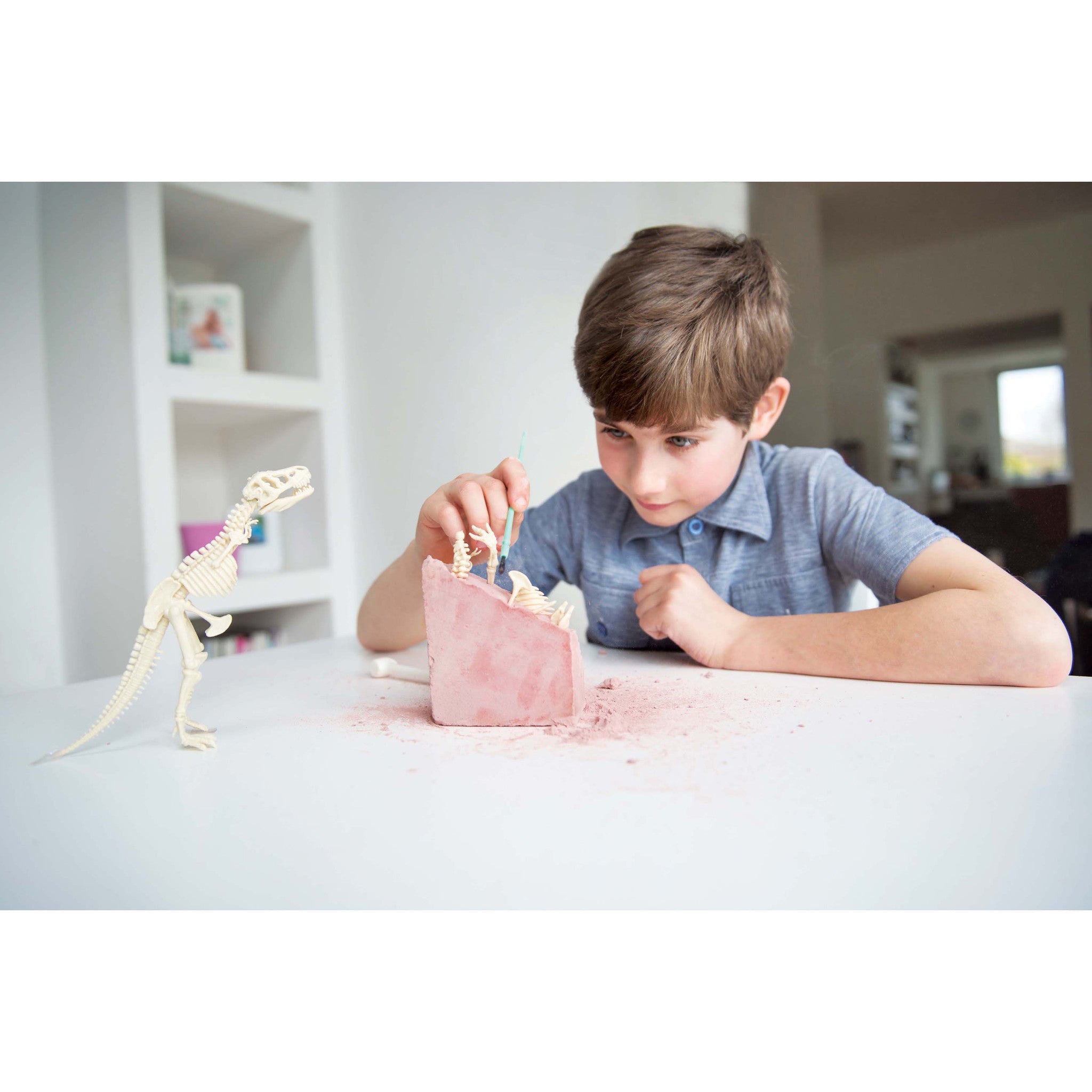 4m-kidz-labs-tyrannosaurus-rex-kit- (4)