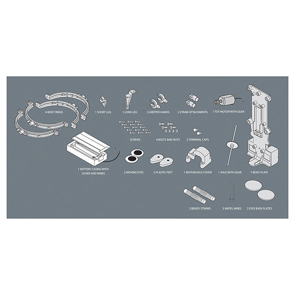 4m-tin-can-robot- (2)
