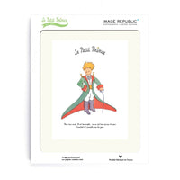 The Little Prince Secret 30x40cm Art print