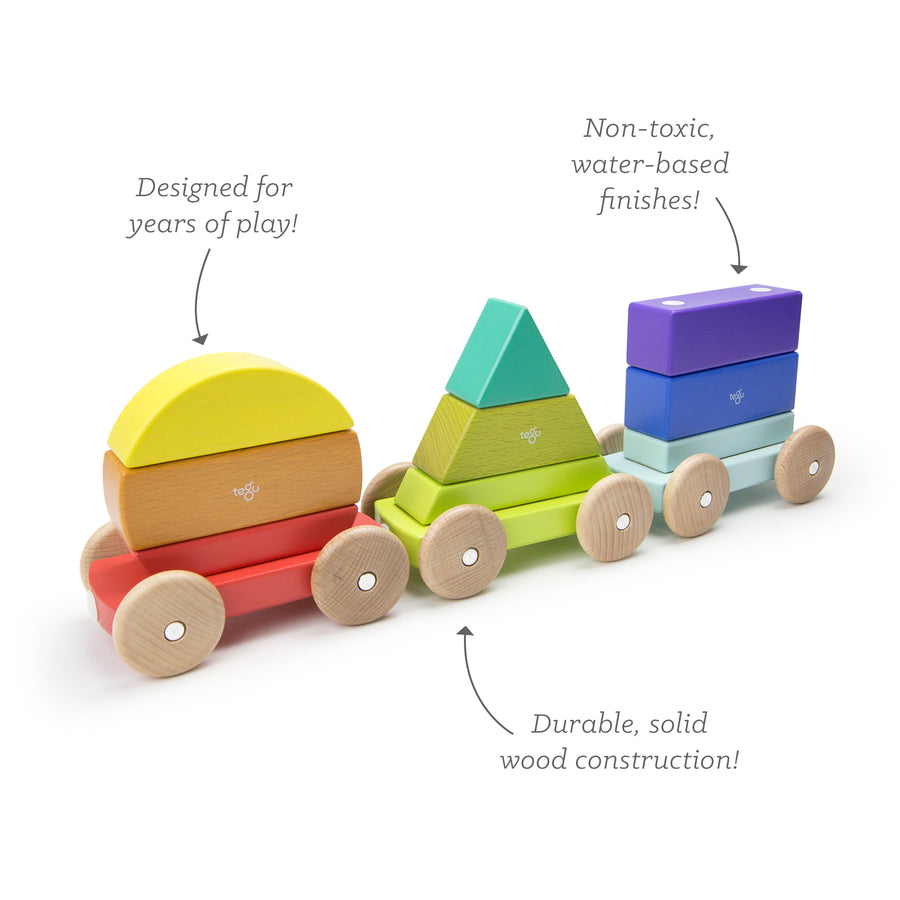 Tegu Shape Train Rainbow Magnetic Wooden Blocks