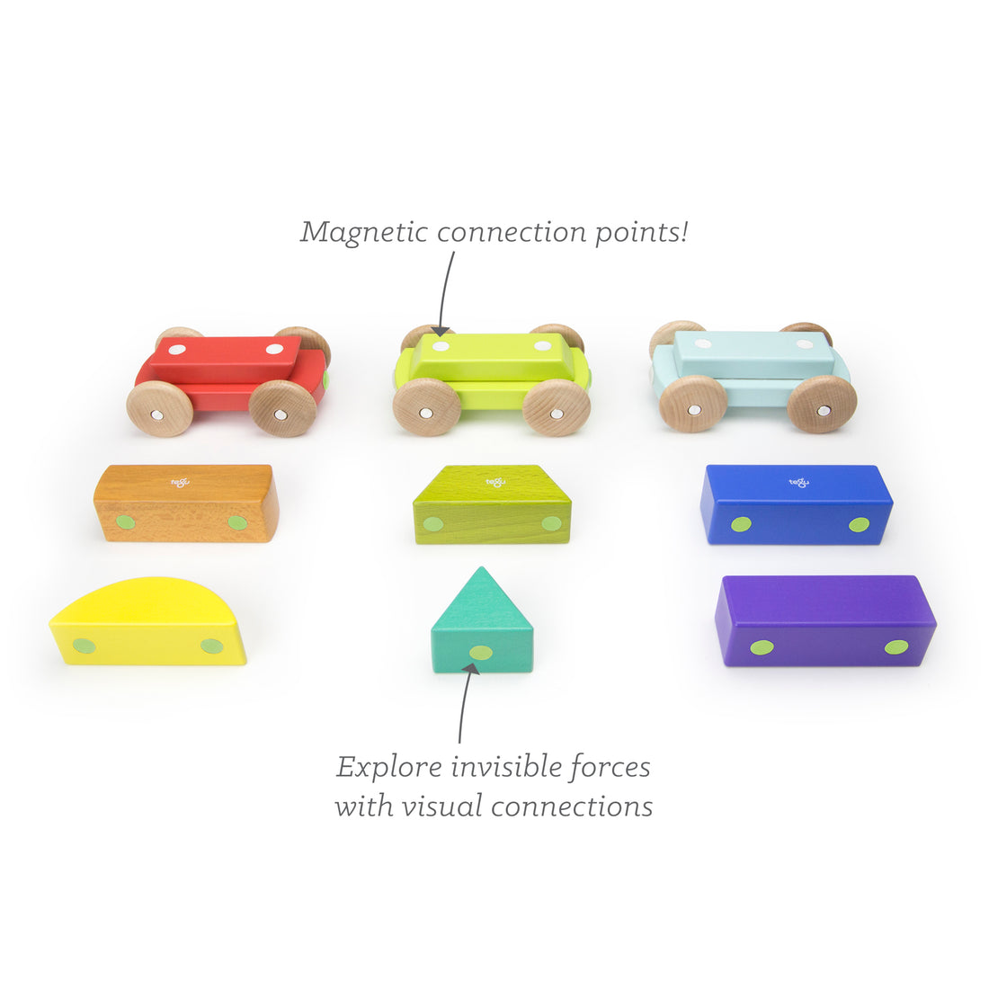 Tegu Shape Train Rainbow Magnetic Wooden Blocks