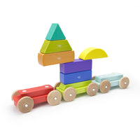 Tegu Shape Train Rainbow Magnetic Wooden Blocks