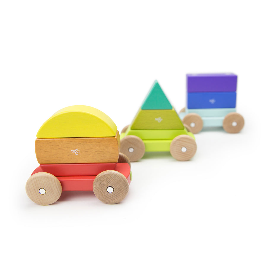 Tegu Shape Train Rainbow Magnetic Wooden Blocks