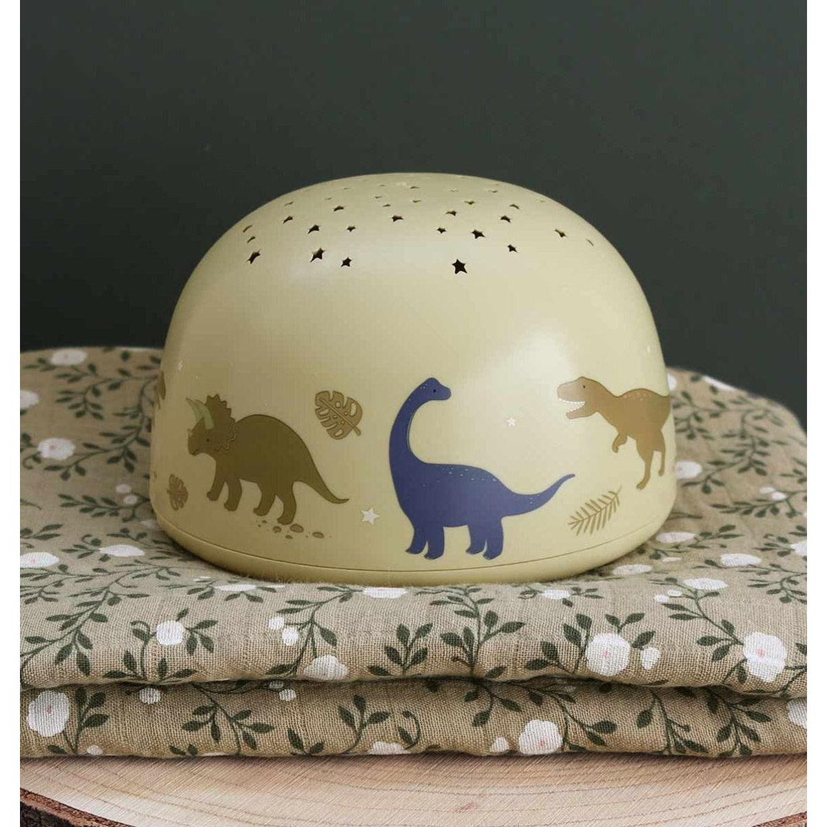 a-little-lovely-company-projector-light-dinosaurs-allc-pldrmc15- (5)