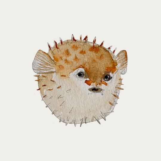 atlas-&-august-blowfish-atla-w01-mini-