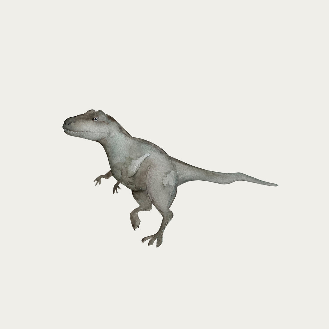 atlas-&-august-dinosaur-3-atla-d05-mini-