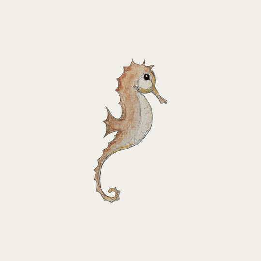atlas-&-august-seahorse-atla-w13-mini-
