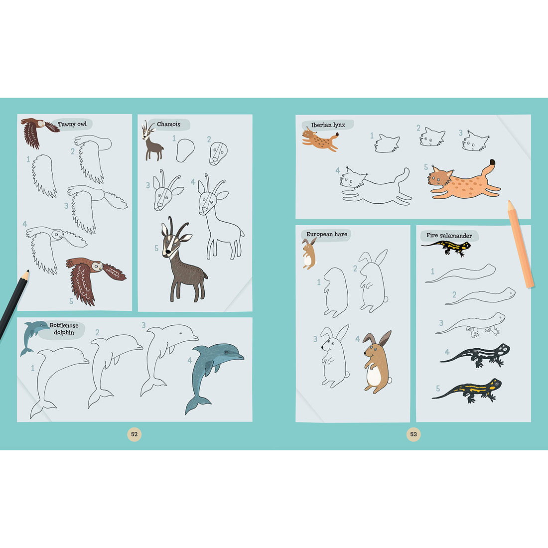 book-a-world-of-animals- (2)