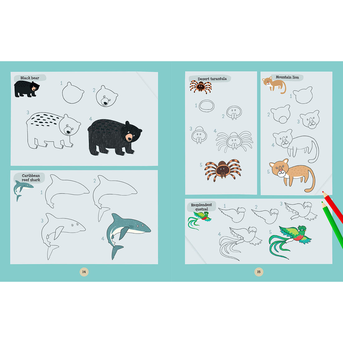 book-a-world-of-animals- (4)