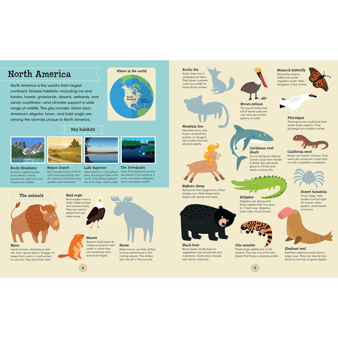 book-a-world-of-animals- (5)