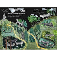 book-big-book-of-beasts- (6)