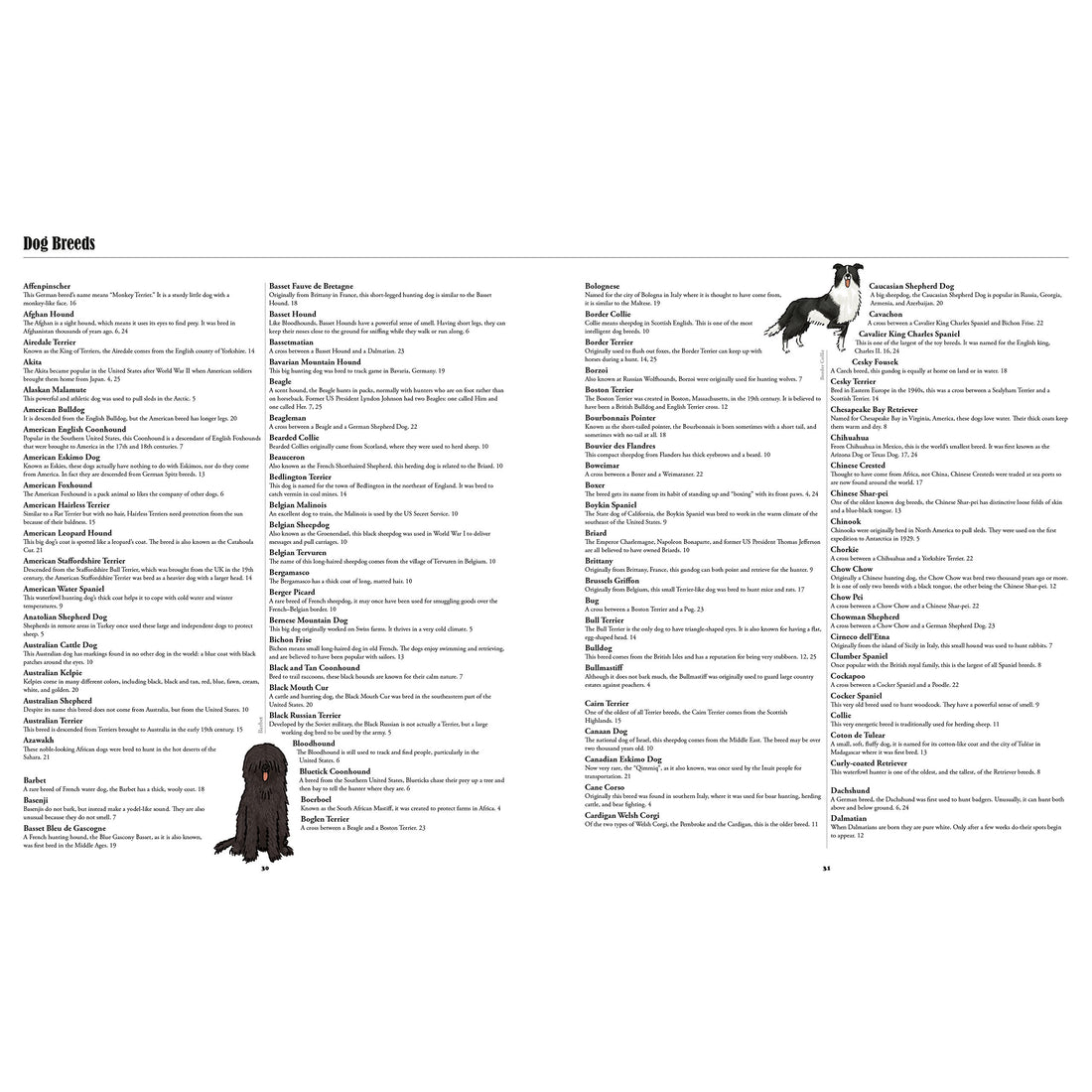 book-big-dogs-little-dogs-a-visual-guide-to-the-world's-dogs- (2)
