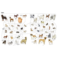 book-big-dogs-little-dogs-a-visual-guide-to-the-world's-dogs- (3)