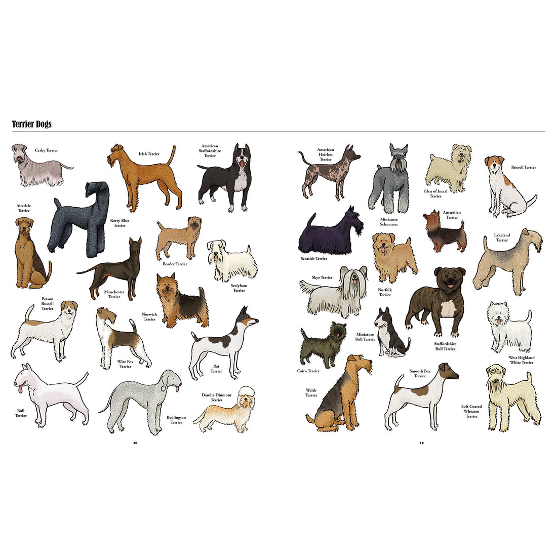book-big-dogs-little-dogs-a-visual-guide-to-the-world's-dogs- (4)