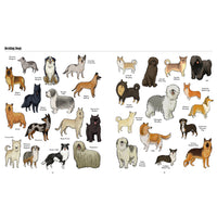book-big-dogs-little-dogs-a-visual-guide-to-the-world's-dogs- (5)