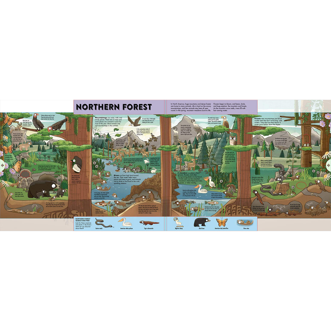 book-expandable-explorations-wild-world-explore-five-pull-out-panoramic-scenes- (2)