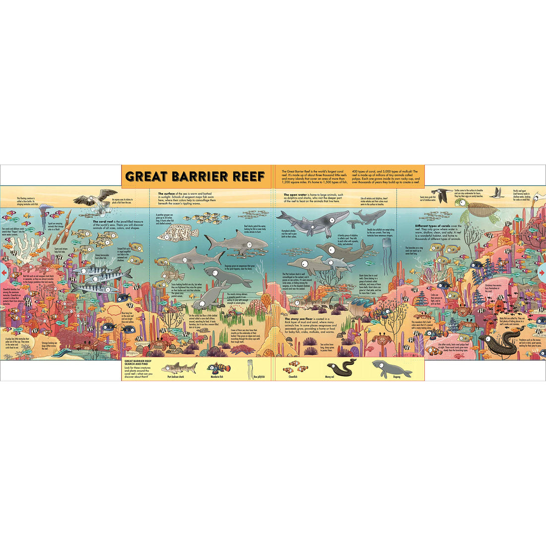 book-expandable-explorations-wild-world-explore-five-pull-out-panoramic-scenes- (3)